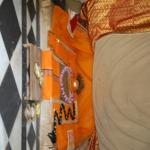 Vraj-Yatra-2014- (1488)